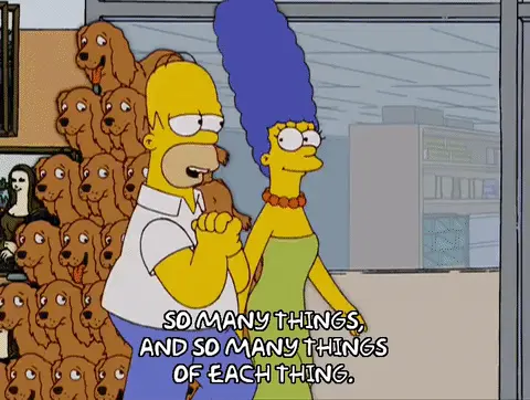 Marge and Homer Simpson walking into a store with the caption "So many things, and so many things of each thing"